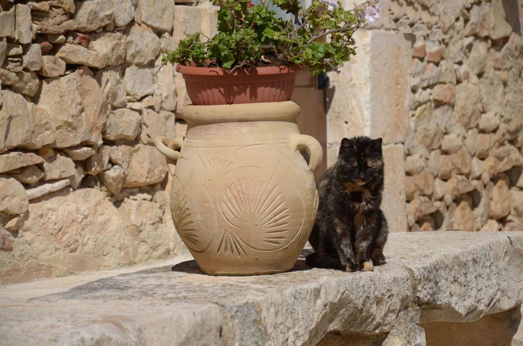 Casina Di Grotta Di Ferro Guest House Santa Croce Camerina Exterior foto